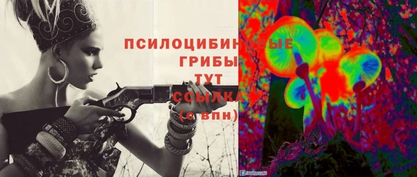 синтетический гашиш Каменка