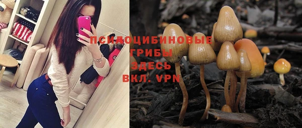 синтетический гашиш Каменка