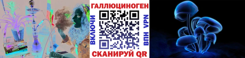 Купить закладки  Великие Луки  Галлюциногенные грибы GOLDEN TEACHER 